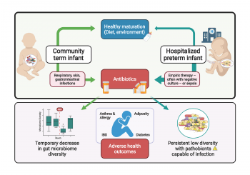 Figure illustrating how antibiotics and other factors impact the gut microbiome which can lead to adverse health outcomes including serious bacterial infection.