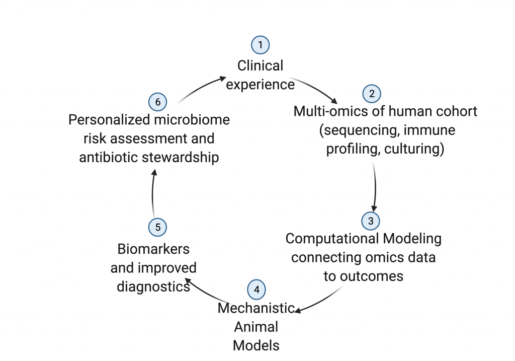 Cyclical figure numbered one through six with the following ordered text: Clinical experience, multi-omics of human cohort, computational modeling connecting omics data to outcomes, mechanistic animal models, biomarkers and improved diagnostics, personalized microbiome risk assessments and antibiotic stewardship.