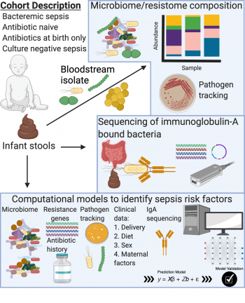 Figure illustrating the utilization of microbiome sequencing, immune profiling, and computational analyses to determine the risk factors for bacteremic and culture-negative sepsis. 